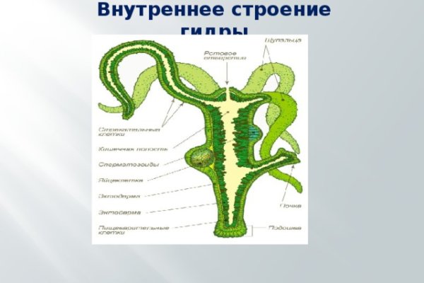 Блэкспрут рабочие зеркала blacksprut cam