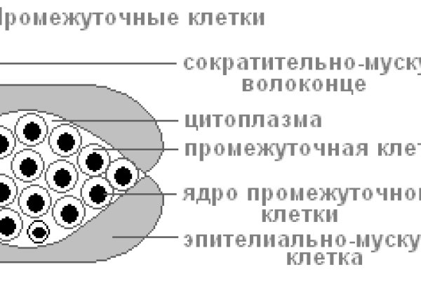 Блэк спрут официальный сайт bs2tor1 vip